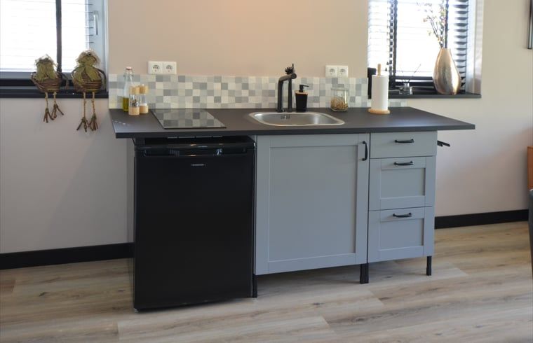 Compact kitchen in Holiday home in Denekamp, Twente, for culinary adventures in Overijssel.