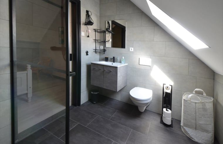 Modern bathroom in Holiday home in Denekamp, Twente, with spacious shower in Overijssel.