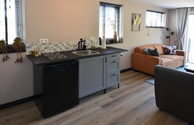 Cozy sitting area with kitchen in Holiday home in Denekamp, Twente, Overijssel.
