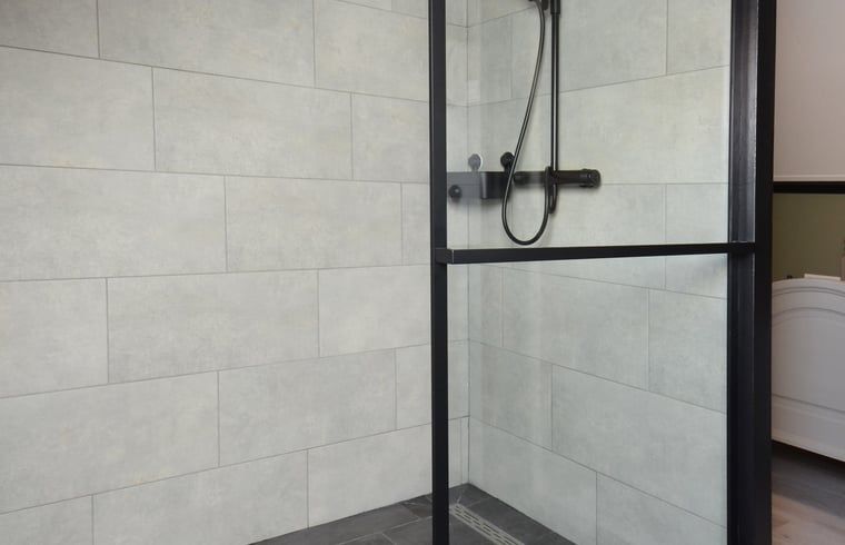 Modern shower in Holiday home in Denekamp, Twente, for a refreshing start in Overijssel.