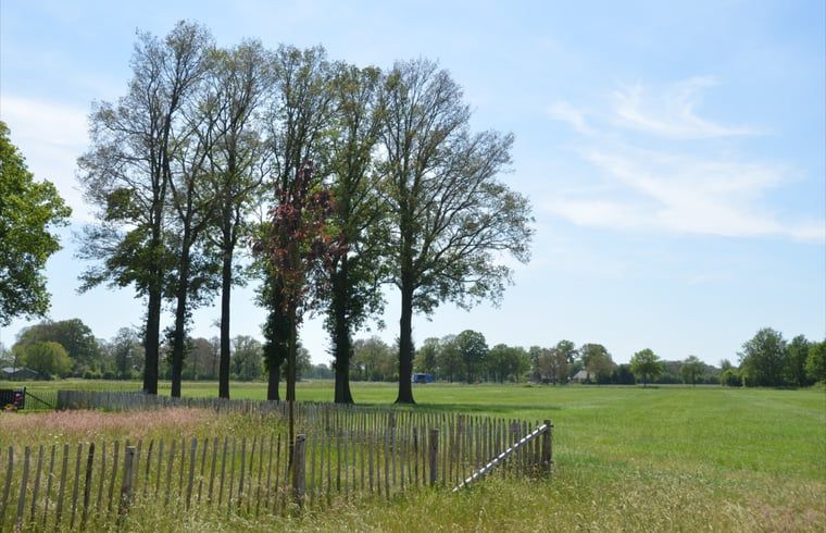 View of green fields from Holiday home in Denekamp, Twente, Overijssel.