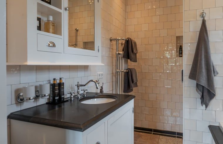 Stilvolles Badezimmer mit Waschbecken in Cottage in Denekamp Ferienhaus, Twente, Overijssel.