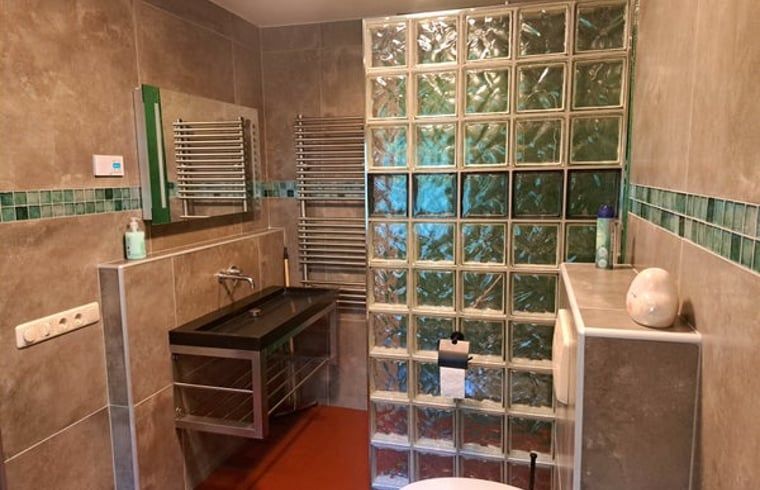 Modern bathroom in Cottage in Denekamp, vacation home in Twente, Overijssel, with glass wall and stylish sink.