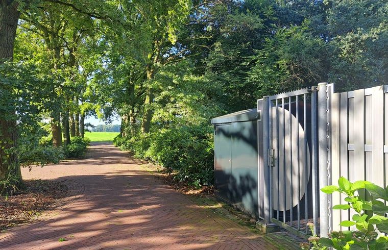 Entrance path to Cottage in Denekamp, vacation home in Twente, Overijssel, surrounded by trees and nature.