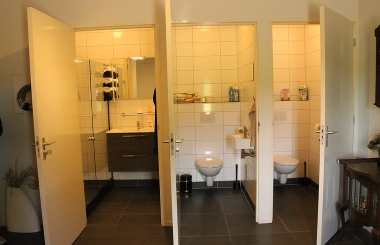 Modern bathroom in vacation home in Denekamp, Twente, with sleek finish. Comfortable vacation home in Overijssel.