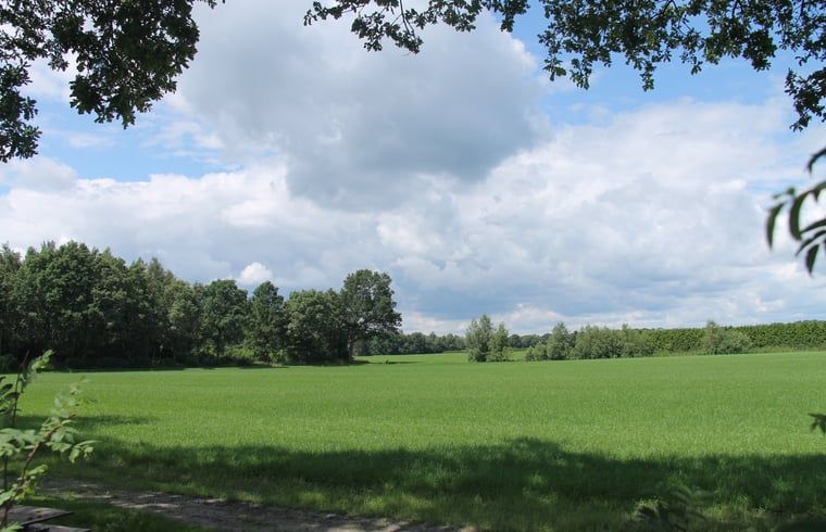 Green fields surrounding vacation home in Denekamp, Twente. Beautiful nature location for vacation home in Overijssel.