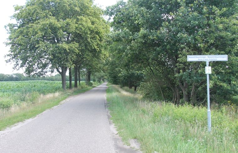 Country road near vacation home in Denekamp, Twente, surrounded by trees. Picturesque setting for vacation home in Overijssel.