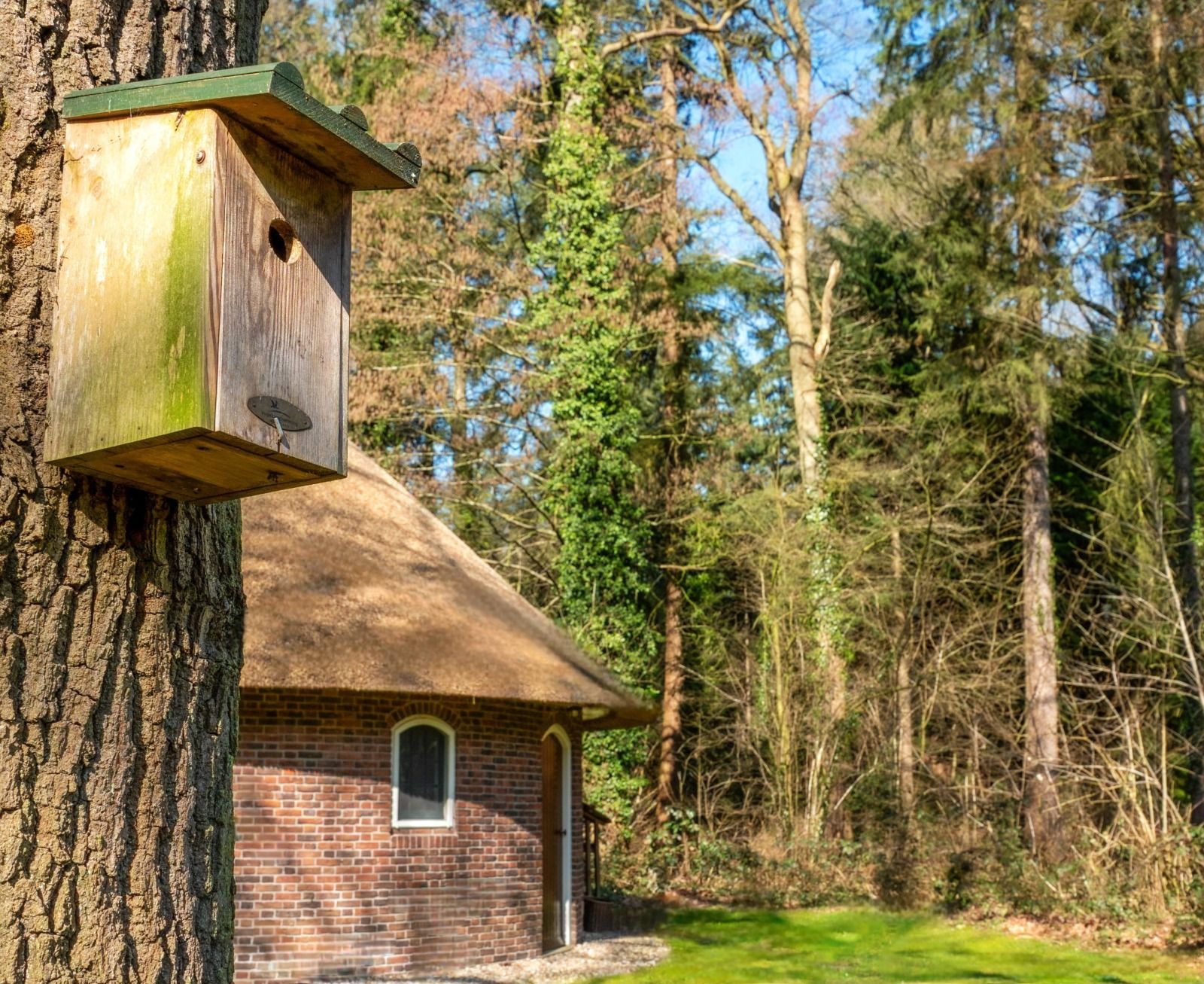 Guest house 523453 - Holiday property Twente - OV788