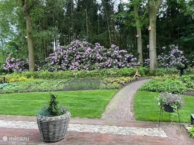Unterkunft 523470 - Ferienhaus Twente - De Bosrand 55
