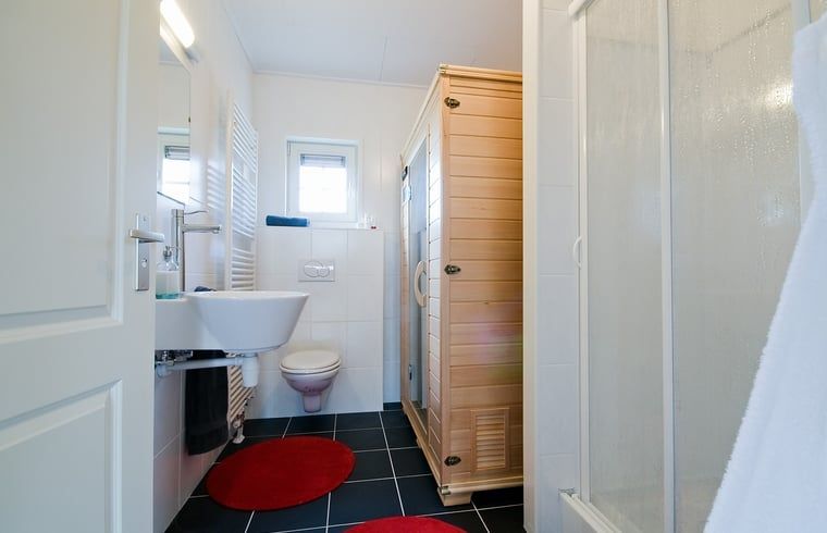 Moderne badkamer met sauna in Huisje in Notter, vakantiehuis in Twente, Overijssel.