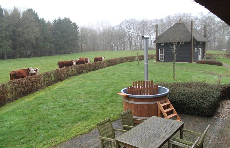 Uitzicht op weiland en koeien vanaf het terras van Huisje in Notter, vakantiehuis in Twente, Overijssel.