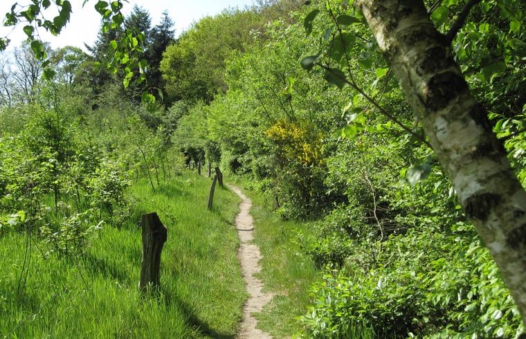Wandelpad door de natuur nabij Huisje in Notter, vakantiehuis in het groene Twente, Overijssel.