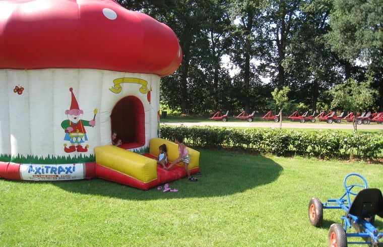 Speelplezier voor kinderen bij Huisje in Notter, vakantiehuis in Twente, Overijssel.