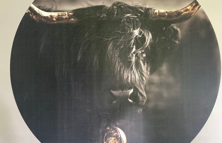 Unterkunft 523601 - Ferienhaus Twente - Vakantiehuisje in Daarle