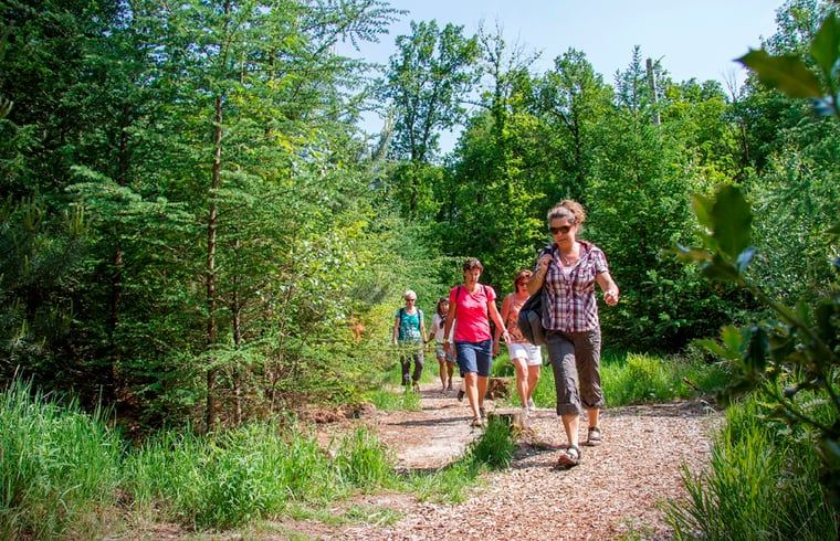 Guest house 523806 - Holiday property Twente - Vakantiehuis in Losser