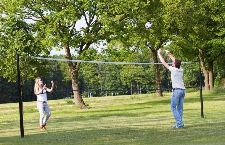 Guest house 523806 - Holiday property Twente - Vakantiehuis in Losser