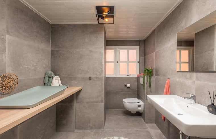 Verblijf 523809 - Vakantiewoning Twente - Huisje in Losser