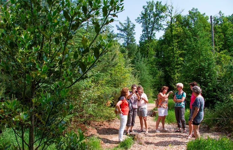 Verblijf 523809 - Vakantiewoning Twente - Huisje in Losser