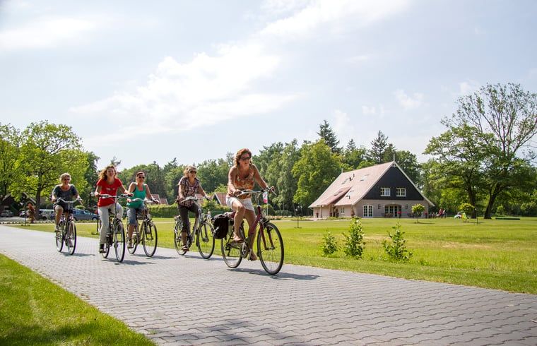 Verblijf 523810 - Vakantiewoning Twente - Huisje in Losser