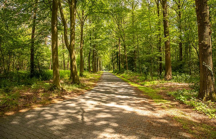 Verblijf 523810 - Vakantiewoning Twente - Huisje in Losser