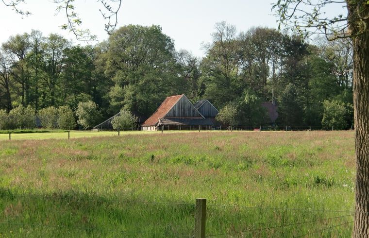 Rustikales Ferienhaus 'Huisje in Losser' umgeben von gruenen Wiesen und waldreicher Natur in Twente, Overijssel.