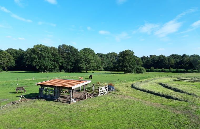 Geniessen Sie die laendliche Umgebung im Huisje in Losser, einem Ferienhaus in Twente, Overijssel, mit weitem Blick ueber gruene Felder.