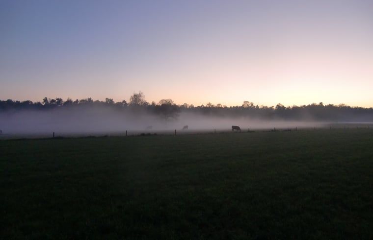 Unterkunft 523819 - Ferienhaus Twente - Huisje in Losser