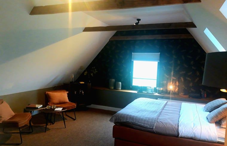 Unterkunft 523819 - Ferienhaus Twente - Huisje in Losser