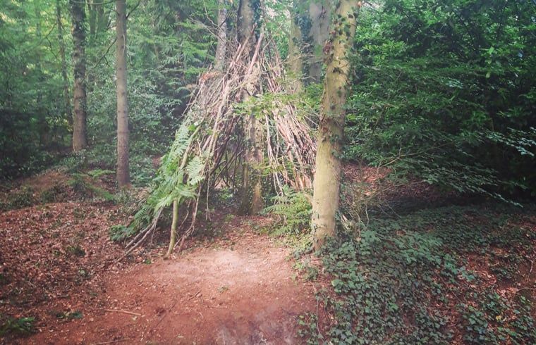 Guest house 523821 - Holiday property Twente - Huisje in Losser