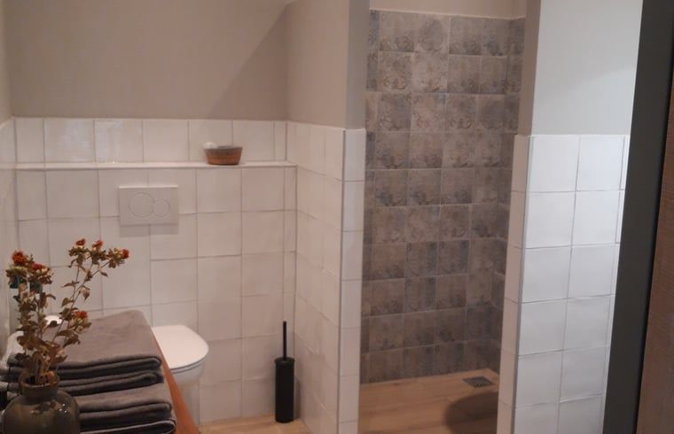 Guest house 523822 - Holiday property Twente - Vakantiehuisje in Losser