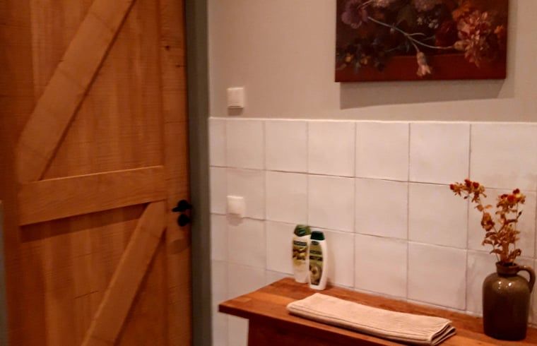 Guest house 523822 - Holiday property Twente - Vakantiehuisje in Losser