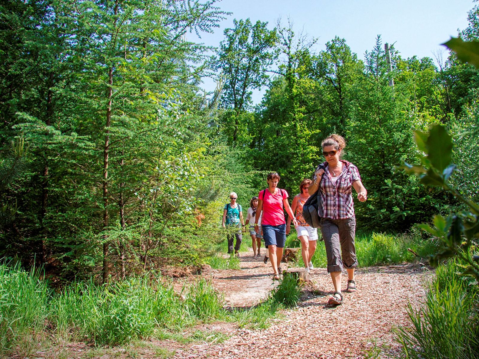 Unterkunft 523831 - Ferienhaus Twente - Vakantiehuis Boomgaard