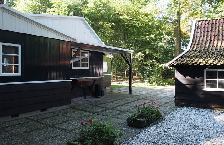 Gezellig terras bij Huisje in Tubbergen, vakantieaccommodatie in Twente, omringd door bosrijke omgeving.