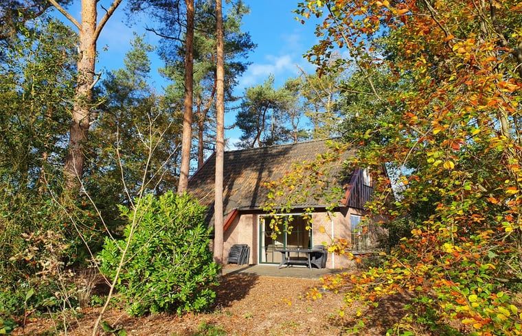 Ferienhaus in Deurningen, versteckt zwischen den Baeumen in Twente, Overijssel.