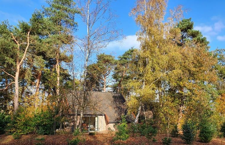 Ferienhaus in Deurningen, umgeben von Herbstfarben in Twente, Overijssel.