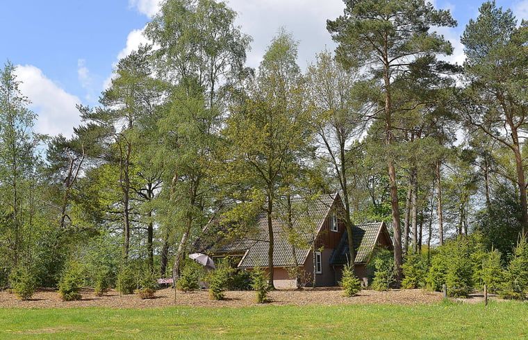 Freistehendes Ferienhaus in waldreicher Umgebung in Deurningen, Twente, Overijssel.