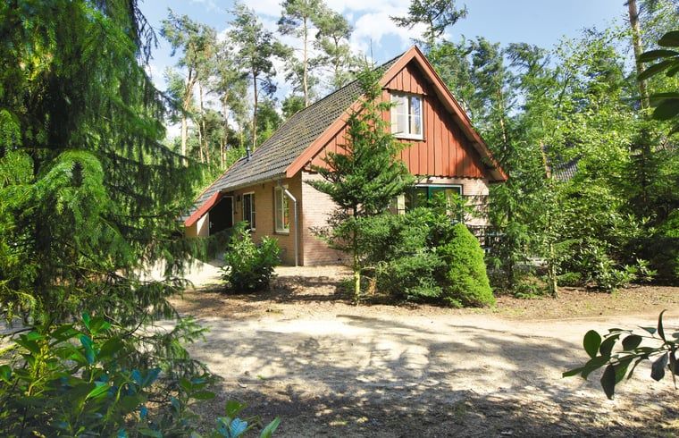 Charmantes Ferienhaus Cottage in Deurningen, gelegen im gruenen Twente, Overijssel.