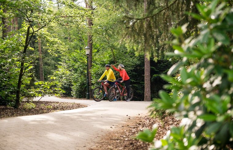 Radfahrer geniessen die Umgebung von Cottage in Deurningen, einem Top-Reiseziel in Twente, Overijssel.