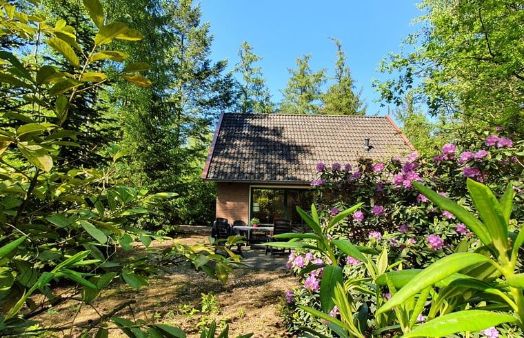 Gaeste entspannen sich auf der Veranda des Cottage in Deurningen, Twente.