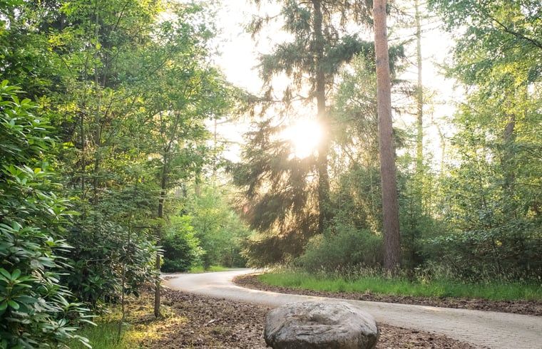 Unterkunft 524108 - Ferienhaus Twente - Vakantiehuisje in Deurningen