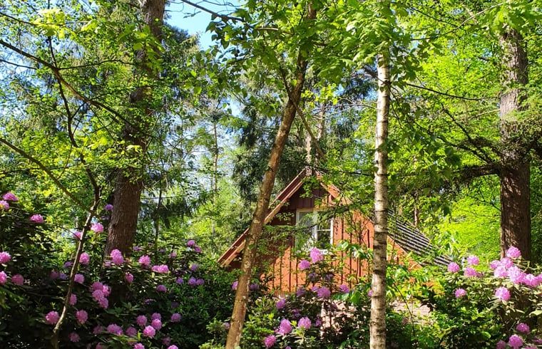 Unterkunft 524108 - Ferienhaus Twente - Vakantiehuisje in Deurningen