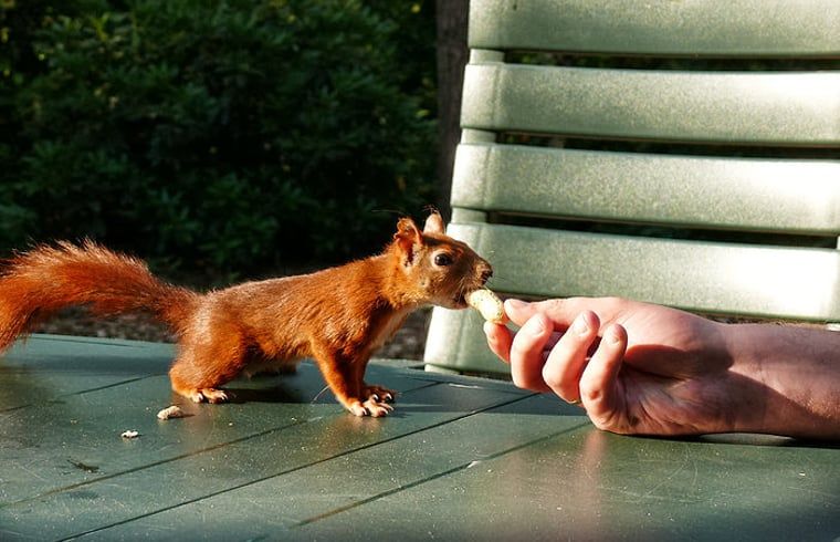 Unterkunft 524108 - Ferienhaus Twente - Vakantiehuisje in Deurningen
