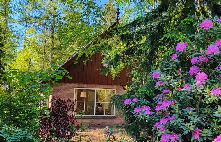Verblijf 524109 - Vakantiewoning Twente - Vakantiehuis in Deurningen