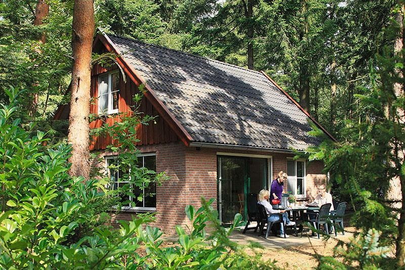 Boshuus Wellness vacation home in Deurningen, Twente surrounded by green nature.