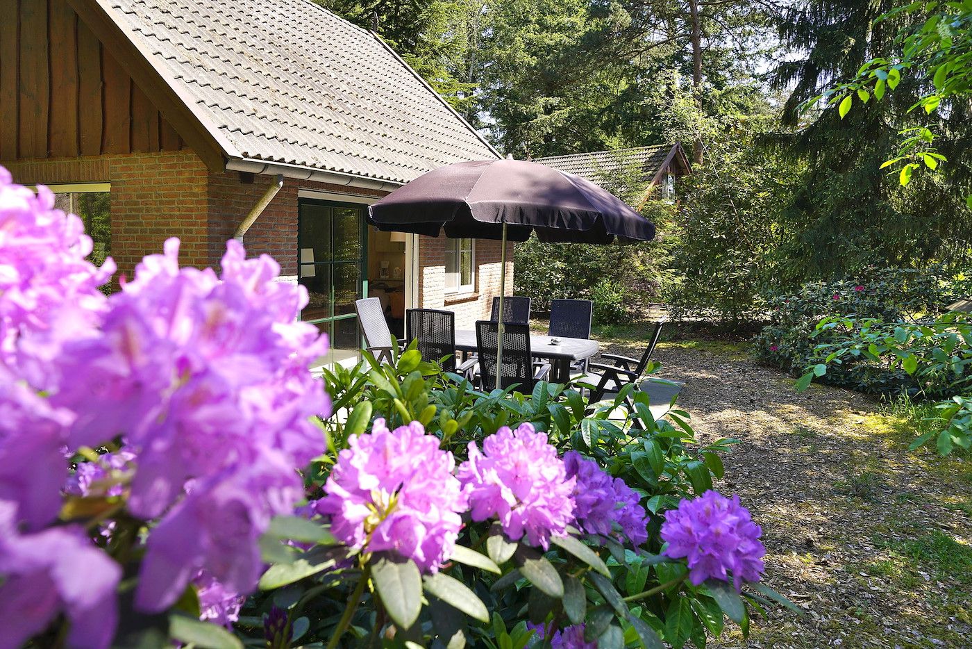 Outdoor terrace of Boshuus Comfort Plus vacation home in Deurningen, Twente, surrounded by colorful flowers and nature.