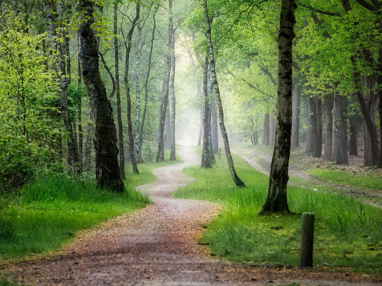 Unterkunft 524212 - Chalet Twente - Chalet in Hoge Hexel