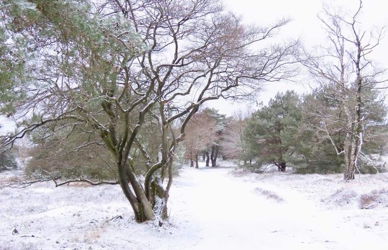 Cozy single room in vacation home Manderveen, perfect for children in Twente.