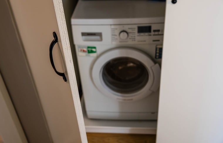 Rural view from vacation home Manderveen, enjoy the serene nature in Twente.