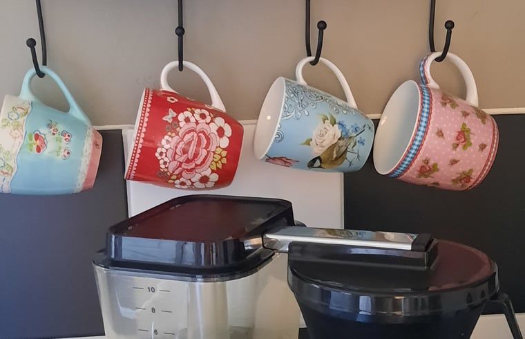 Forest walk near vacation home Manderveen, discover the nature of Twente.