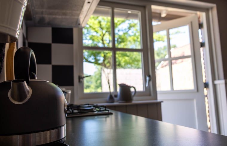 Country road with rabbit near vacation home Manderveen, enjoy the tranquility in Twente, Overijssel.